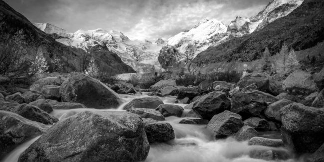 Auszeichnung bei «Naturfotograf des Jahres»